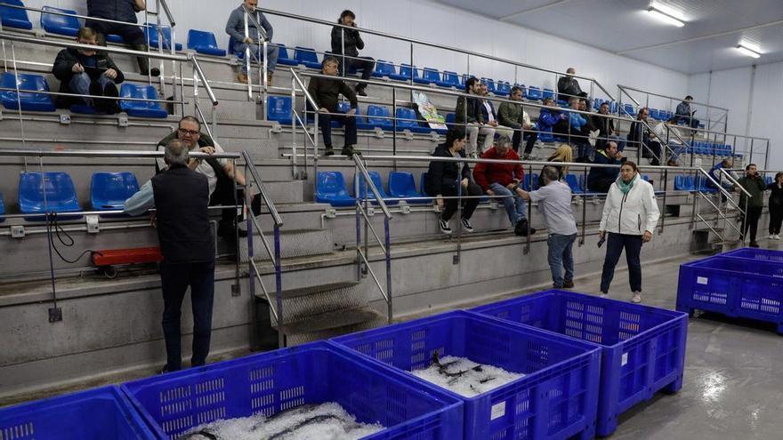 La rula de Gijón suma más de la mitad de los ingresos del conjunto de lonjas asturianas entre enero y agosto