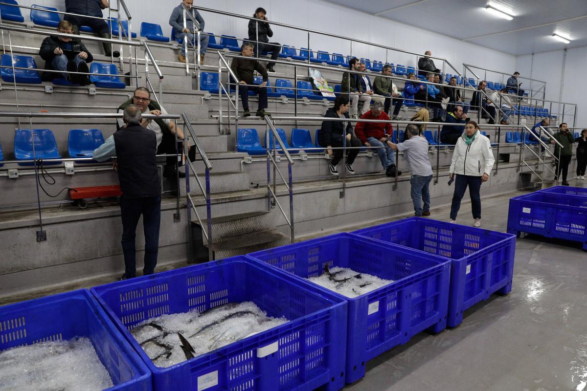 Un momento de la subasta de bonito en la lonja de Gijón. PESCA. PESCADORES. LLEGADA DEL PRIMER BONITO. EL MUSEL. PRIMERA SUBASTA DE BONITO DEL AÑO