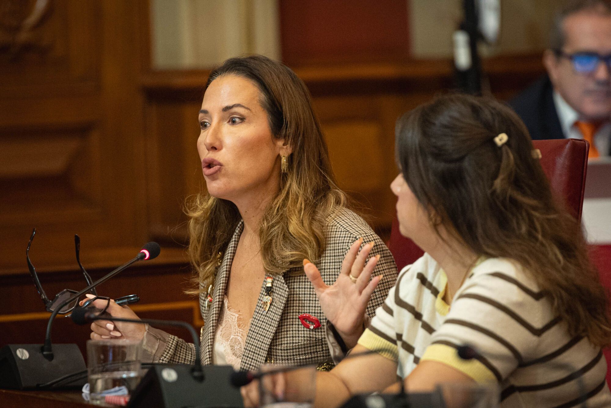 Pleno del Ayuntamiento de Santa Cruz