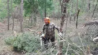 El Bages i el Berguedà concentren la majoria d'ajuts a propietaris per gestionar el bosc: "Feia temps que ho esperàvem per la por d'un gran incendi"