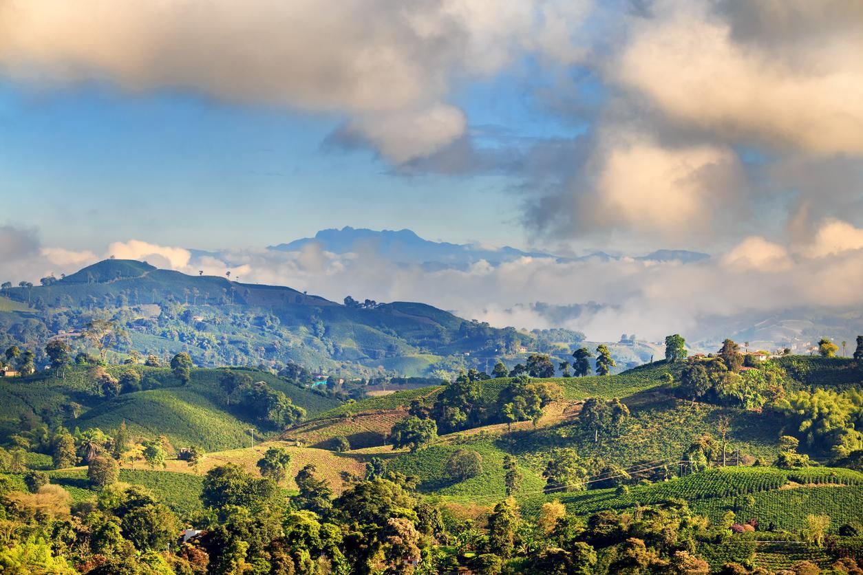 El Eje Cafetero de Colombia es una explosión de color