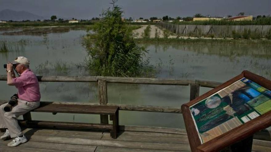 El parque natural de El Hondo, situado en el Camp d&#039;Elx.