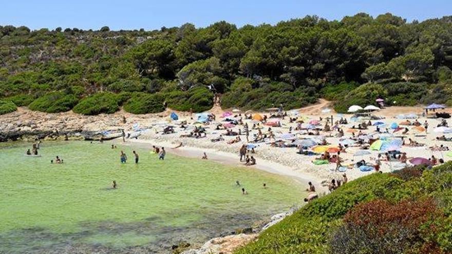 100 Strände auf Mallorca im Visier der Beach-Inspektoren