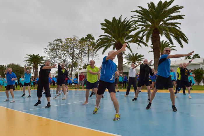 Gimnastas daneses del Festival Blume