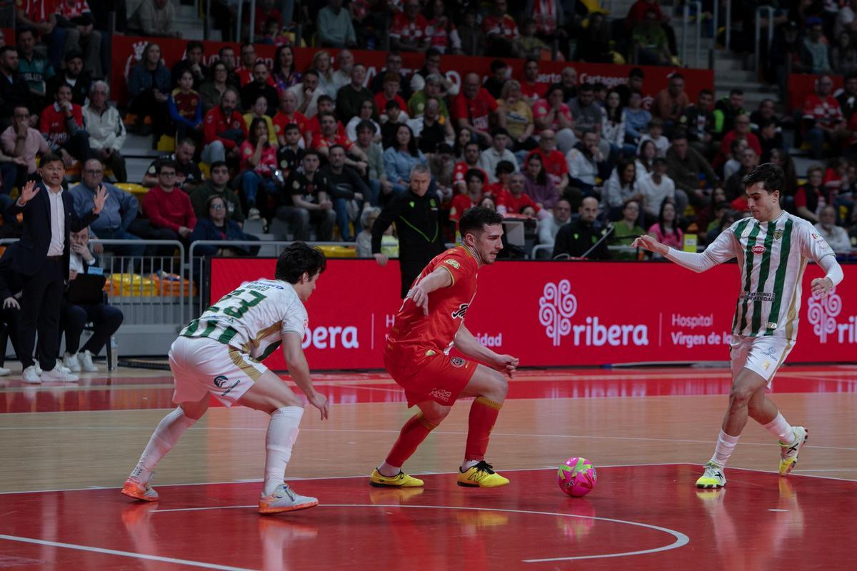 Las imágenes de la derrota de Jimbee Cartagena frente a Córdoba Las imágenes de la derrota de Jimbee Cartagena frente a Córdoba