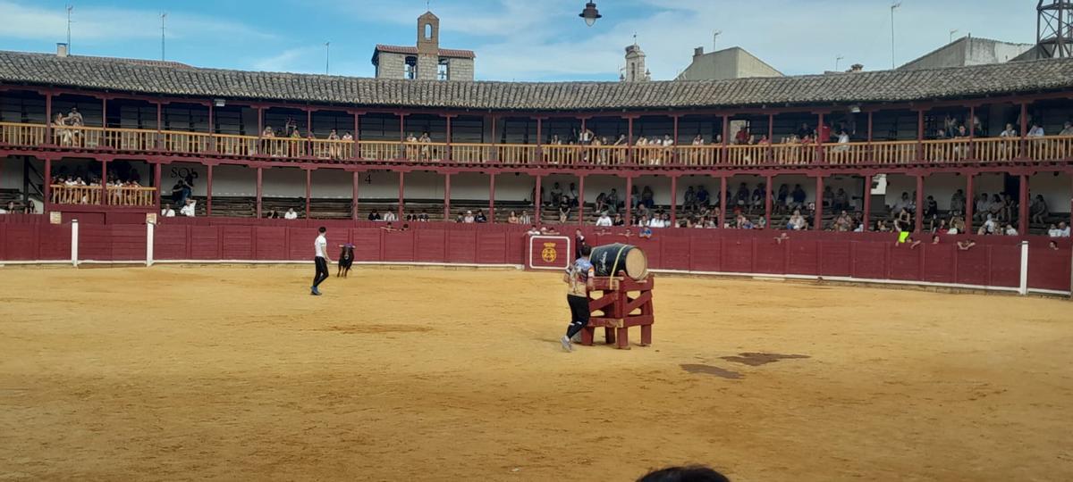 GALERÍA | La Fuente de Vino en la plaza de toros de Toro, en imágenes