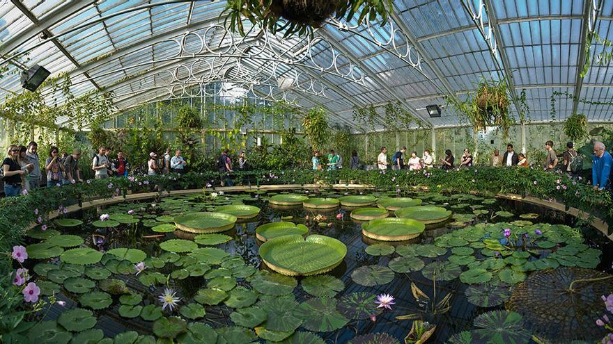 El Royal Botanic Gardens Kew de Londres abre sus puertas a alumnos de la UPCT