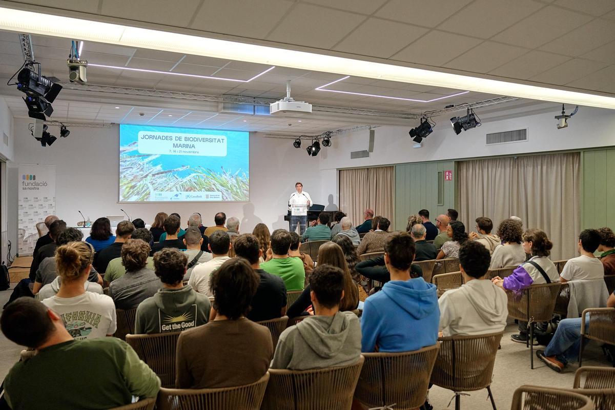 Expertos abogan por coordinar esfuerzos para la conservación de la biodiversidad marina