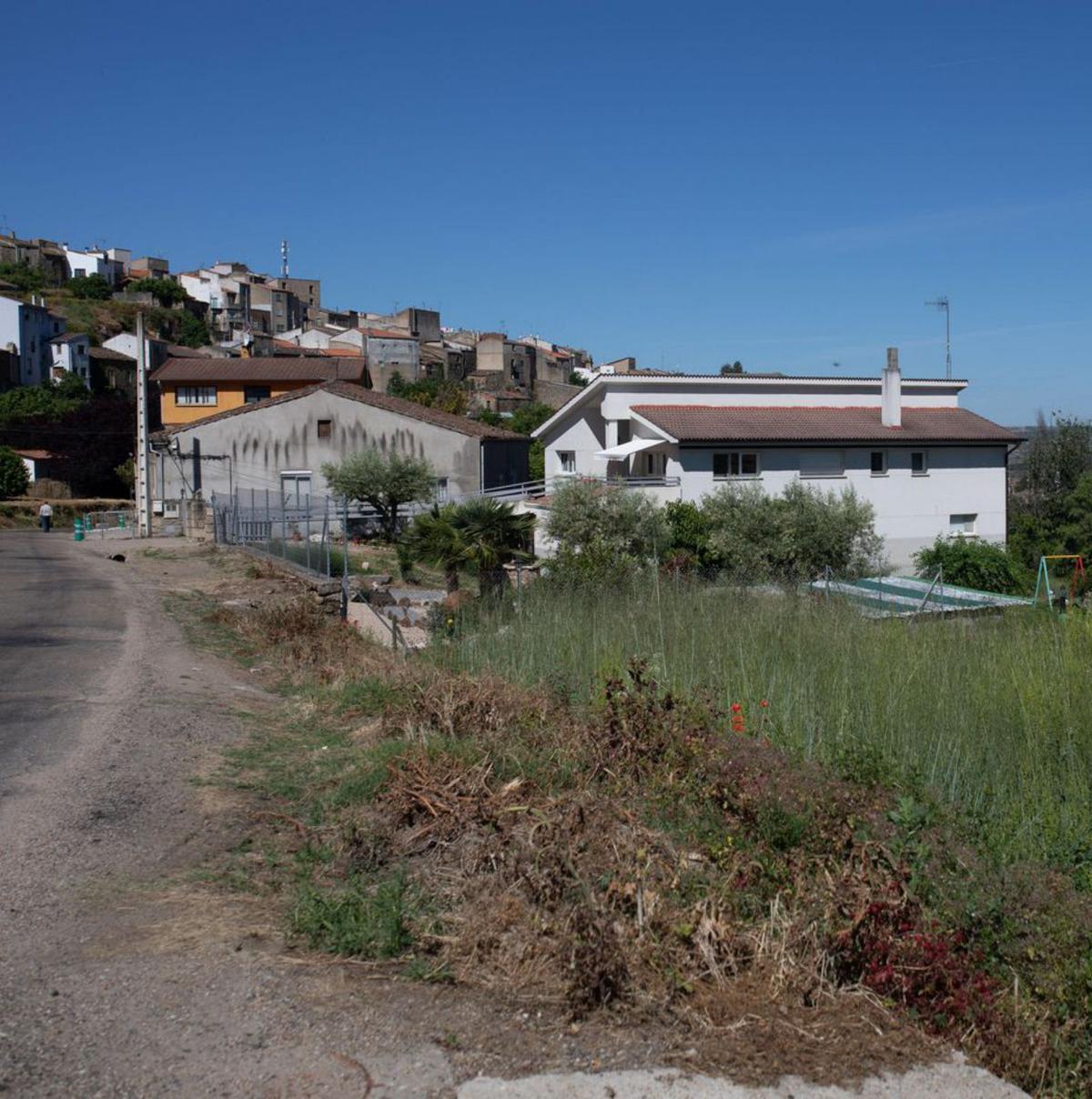 Una finca sin limpiar junto a viviendas en Fermoselle. | Ana Burrieza