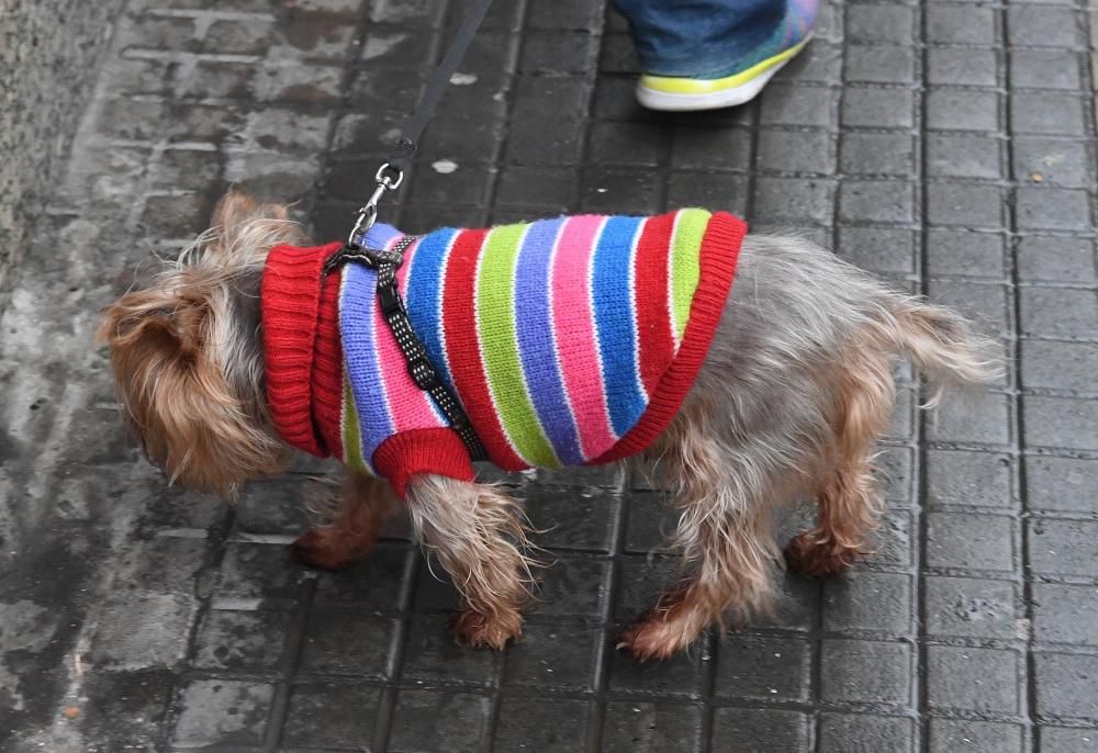 A Coruña despliega paraguas para recibir la lluvia