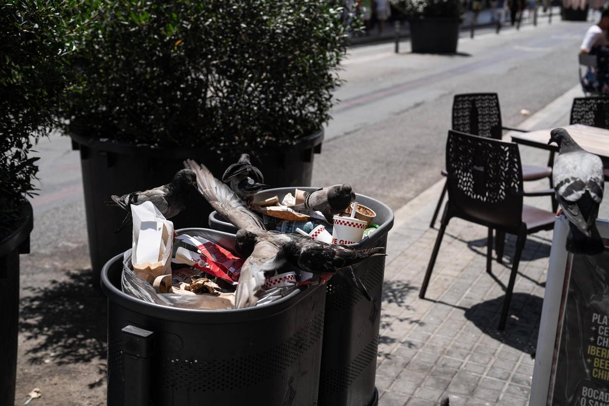La calle Provença junto a la Sagrada Familia, zona cero de conflictos por la masificación turística