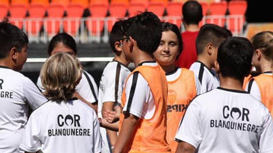 La ONCE premia a la Fundació VCF