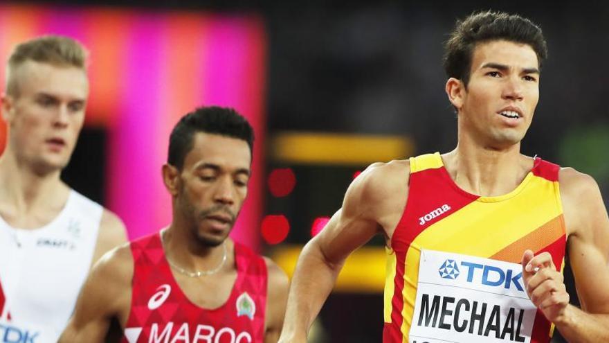 Mechaal, durant una cursa dels 1.500 metres d&#039;aquest Mundial.