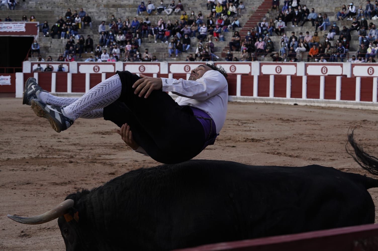 Concurso de Cortes Zamora 2021