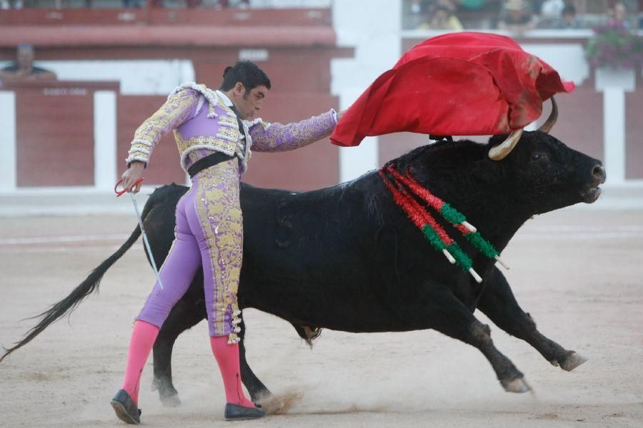 Toros en Zamora