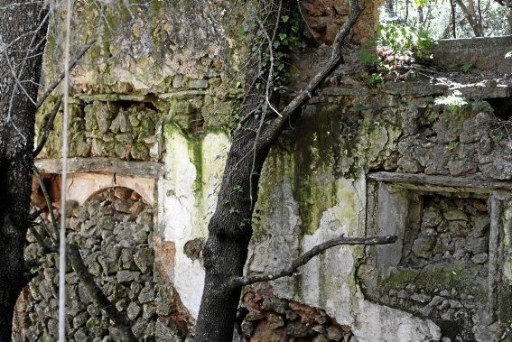 Die Quelle Es Salt des Freu bei Orient:  Es ist, als wenn das Wasser alles aufsaugt und mit sich reißt. Man möchte ihm folgen und verweilt doch immer wieder, um Fels, Steine, Verästelungen zu betracht