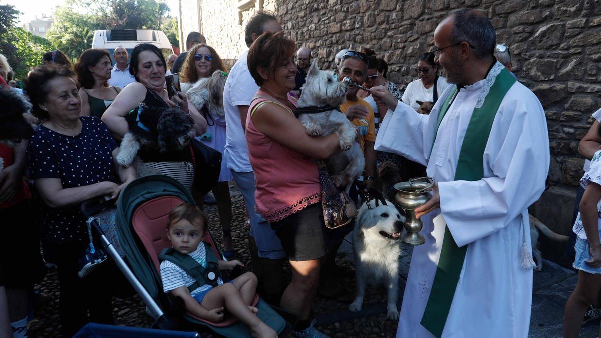 Un momento de la bendición de mascotas.