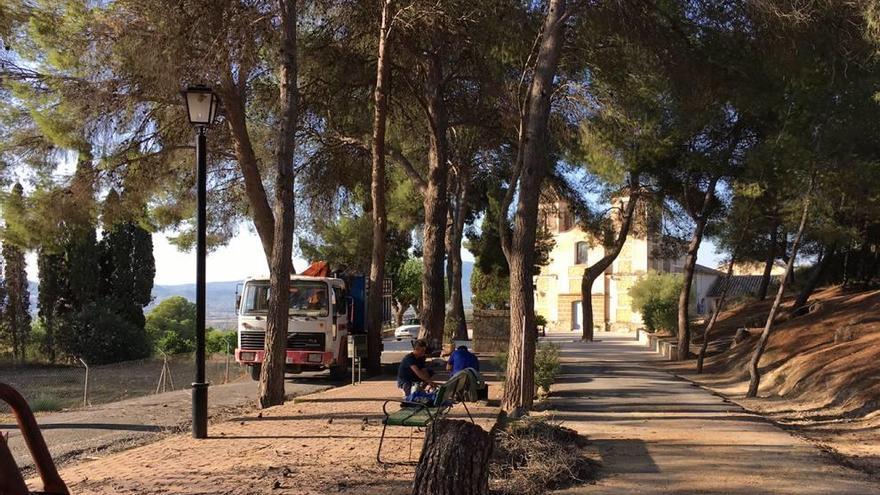 Retiran los pinos dañados  en la ermita del Niño de Mula