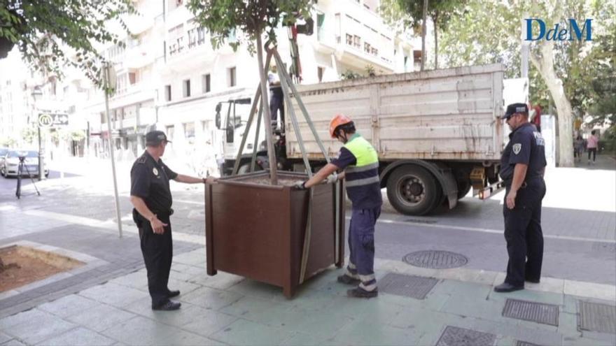 Nach dem Anschlag in Barcelona: Palma stellt weitere Lkw-Barrieren auf