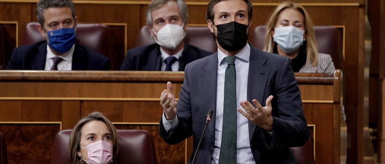 Pablo Casado, en el Congreso de los Diputados.