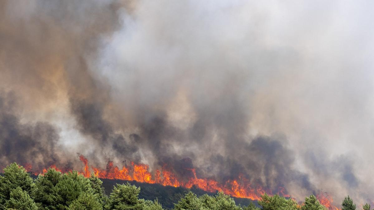 L'incendi de La Mierla, a Guadalajara, aquest dimarts. EFE/Nacho Izquierdo