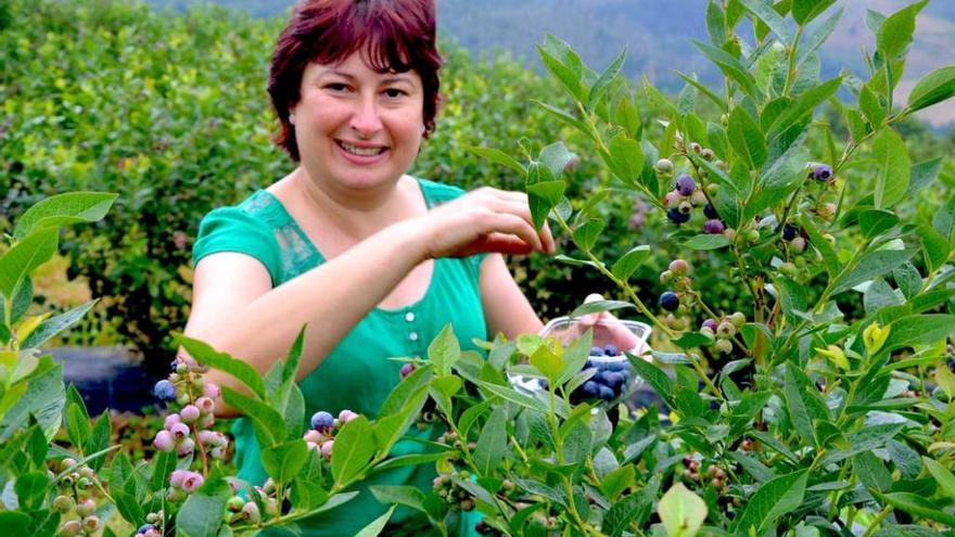 Emprendedora en la casa familiar