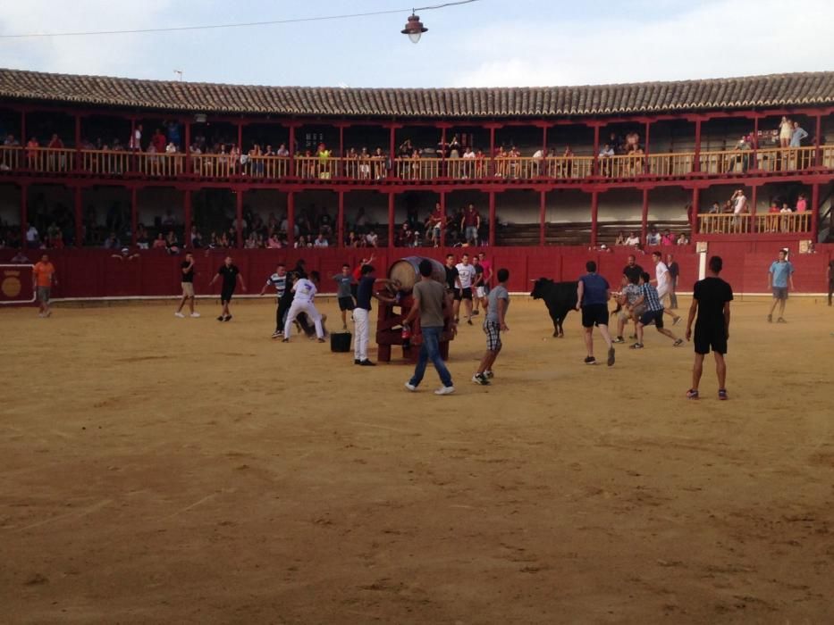 Fiestas Toro- concurso de jóvenes cortadores