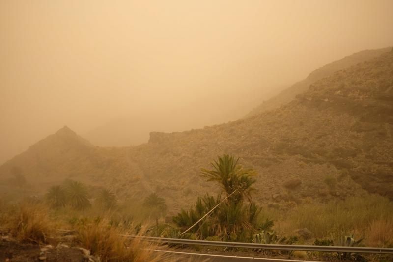 La Aldea - Agaete- Las Palmas de GC:. Incendio Tasarte y calima  | 23/02/2020 | Fotógrafo: José Carlos Guerra