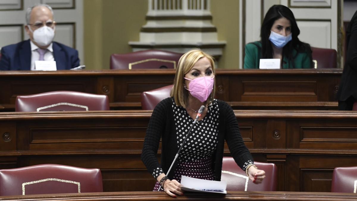 Australia Navarro en el Parlamento de Canarias.