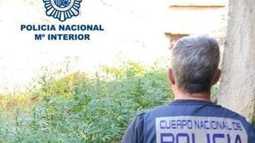 La Policía Nacional detiene a dos hombres en dos operativos antidroga e incauta 12 kilos de marihuana