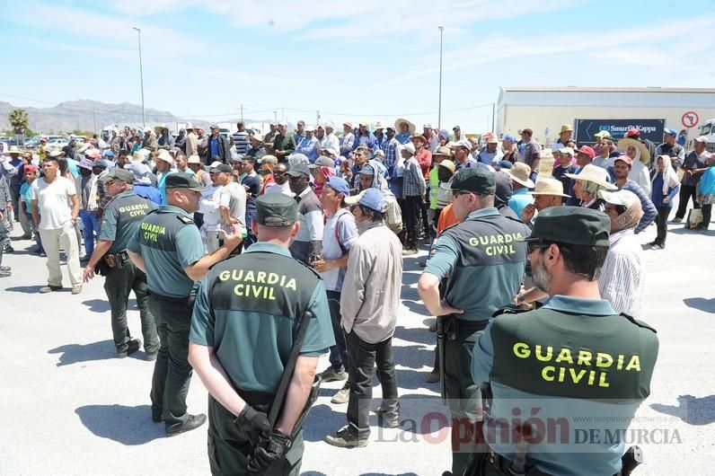 Protesta hortofrutícola en una empresa de El Raal