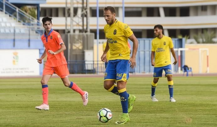 PARTIDILLO UDLP- UDLP C