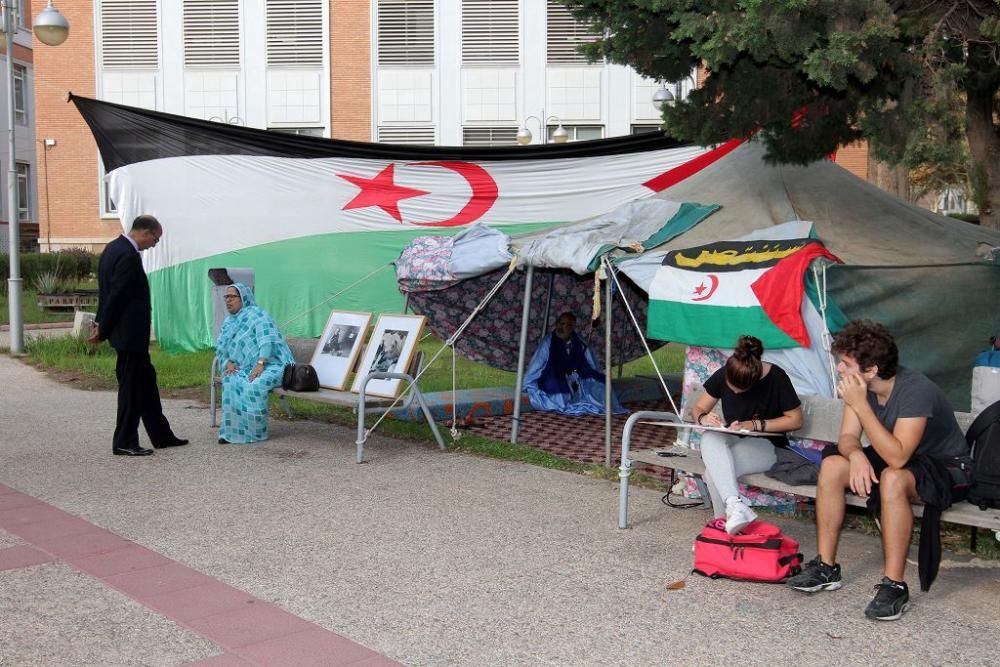 VI Jornadas sobre la cultura del Sáhara Occidental