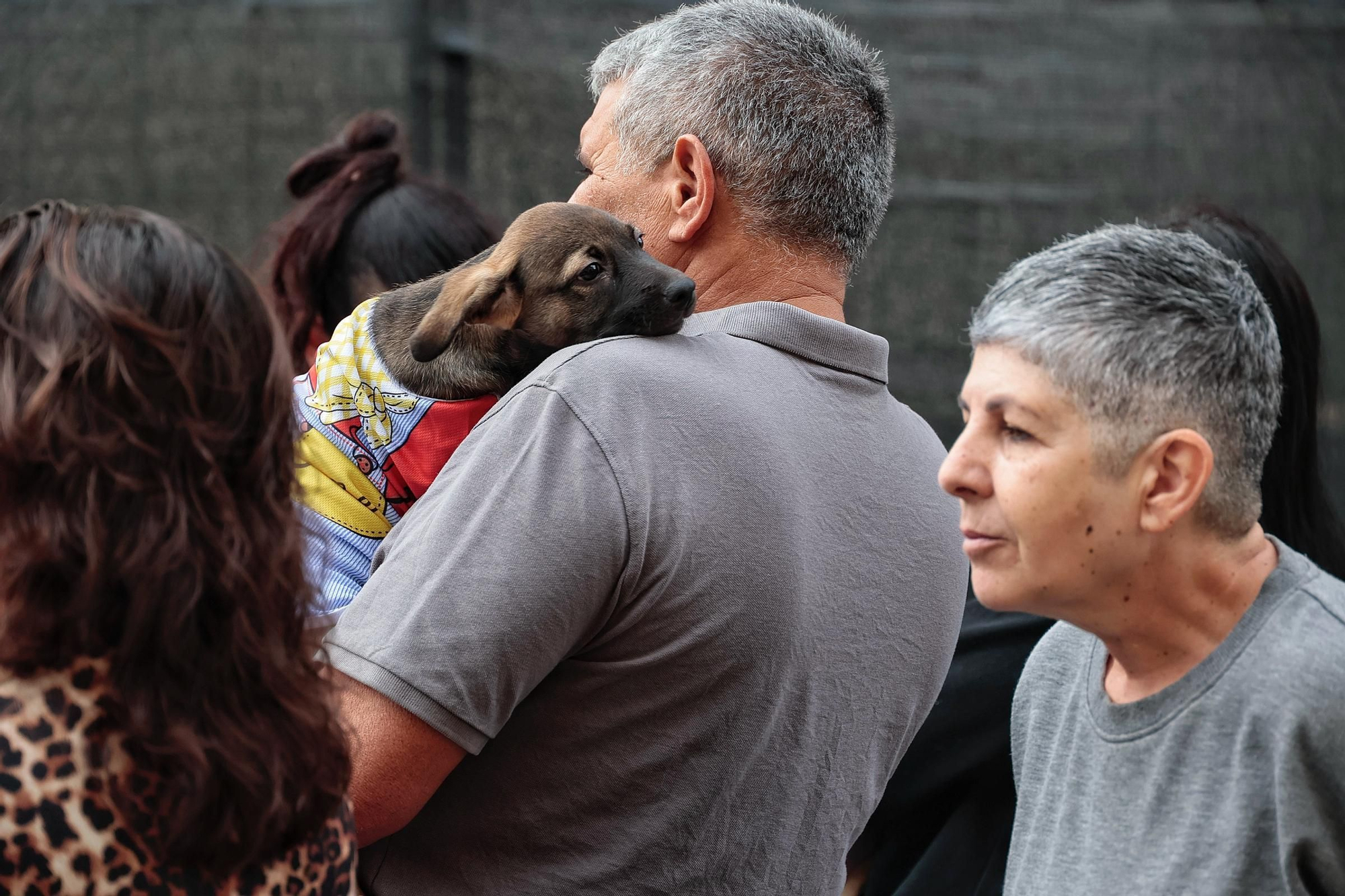 Feria de la Adopción Responsable de Animales de Compañía