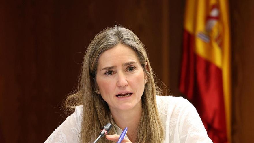 El PP reprueba a Aagesen en el Senado por la gestión del apagón un año después