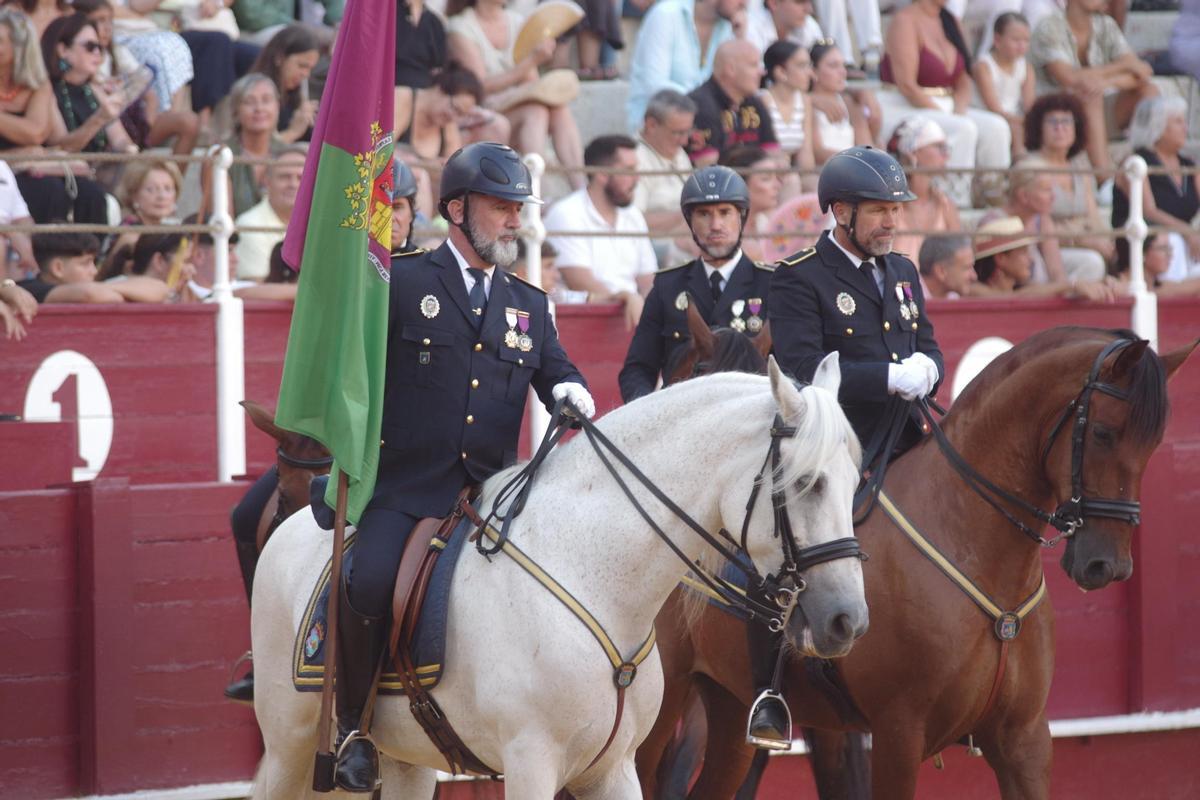 Fotos del concurso de exhibición de Enganches de Caballos Ciudad de Málaga 2026