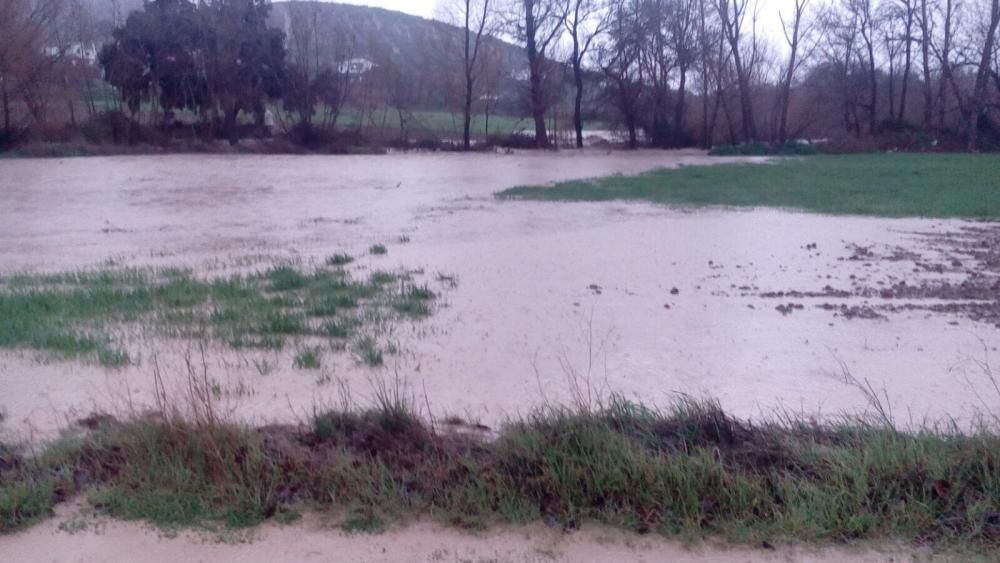 El río Guadalhorce, desbordado a la altura de Villanueva del Rosario