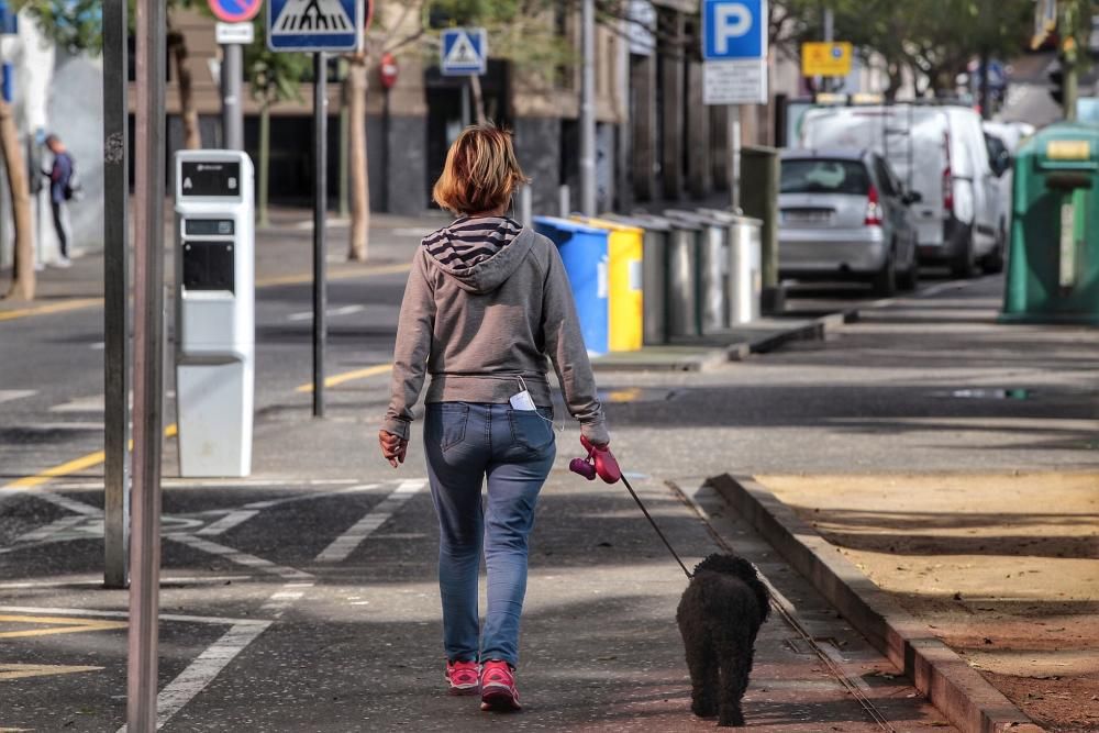 Reportaje: Gente con mascotas