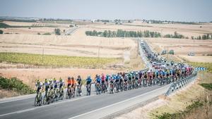 El pelotón, camino de Albacete.