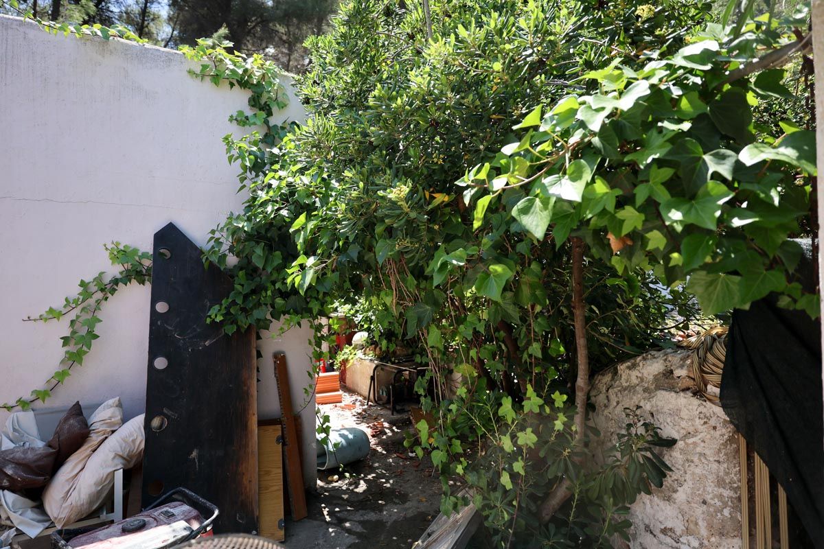 Todas las imágenes del local okupado en Cala Mestella, tras el desalojo