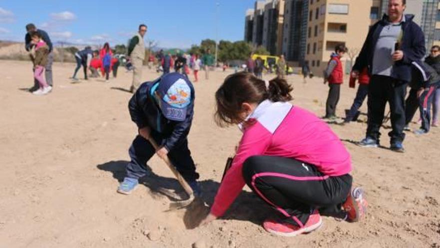 Reforestación en la playa de Muchavista