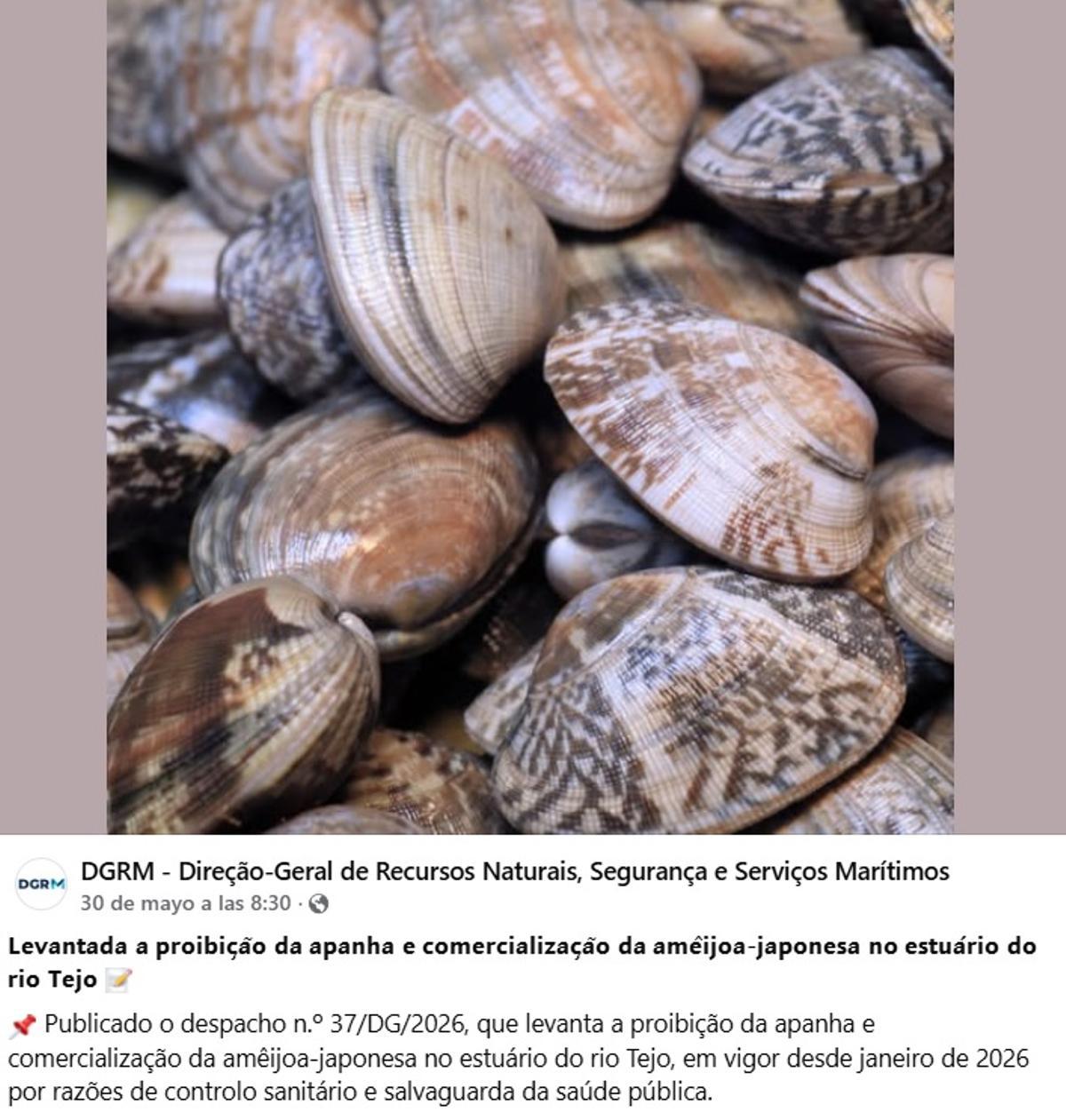 Una de las publicaciones del Gobierno de Portugal.