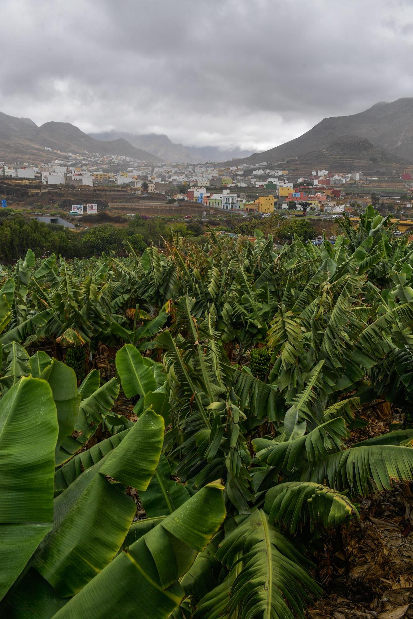 Tiempo en Gran Canaria (10/07/2021)