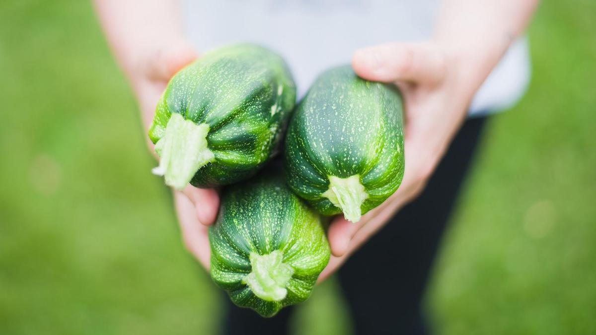 España es líder en la utilización de fertilizantes naturales, lo que se traduce en una innovación tanto de los entornos de trabajo como de las labores de los agricultores