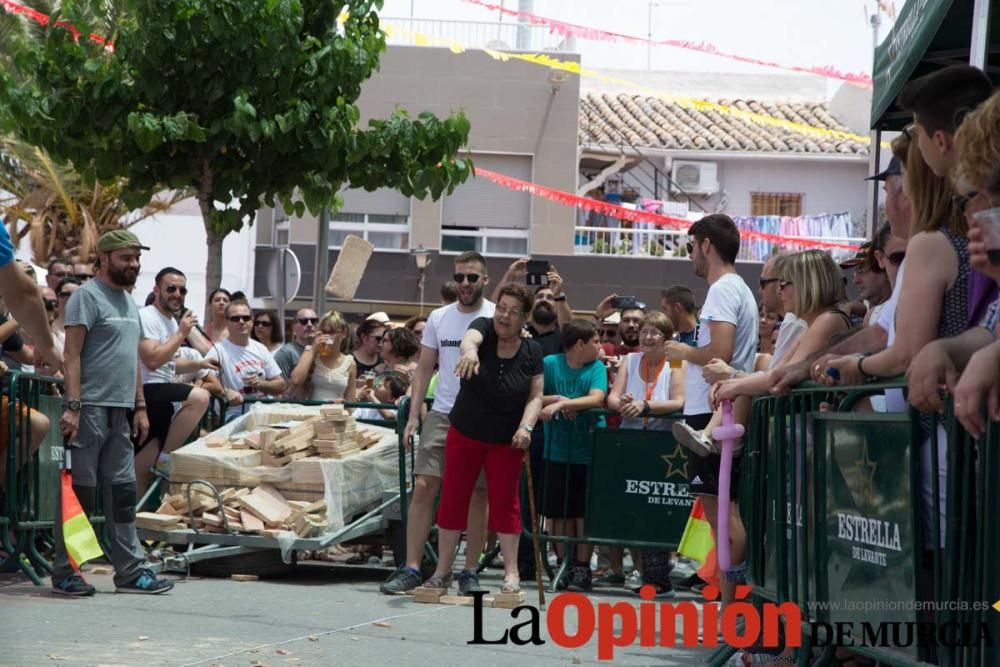 Campeonato del mundo de lanzamiento de 'Ladrillo d