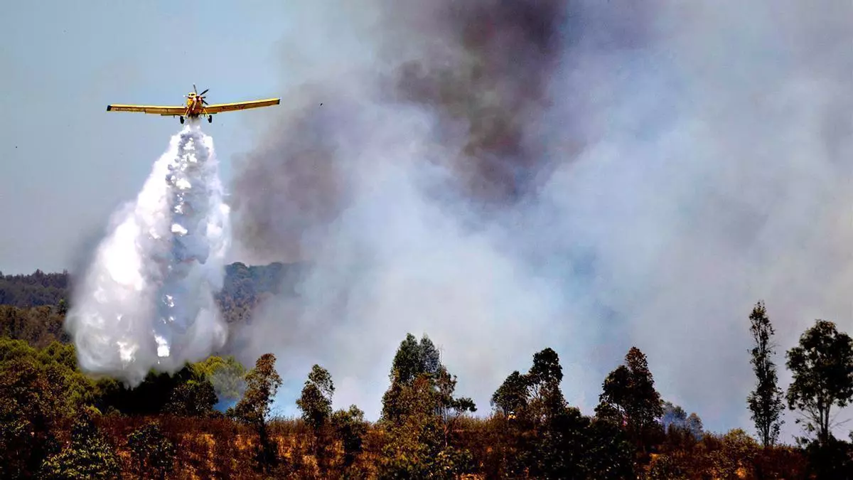 El incendio forestal de Niebla (Huelva) se agrava: el Infoca despliega ya 25 medios aéreos, 180 efectivos y se cortan dos carreteras