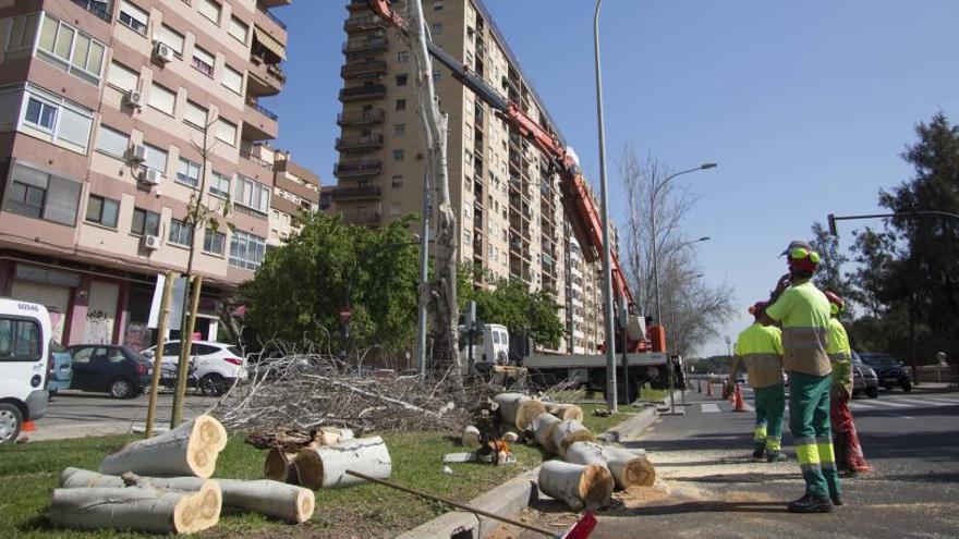 Los vecinos de Campanar denuncian la tala de chopos y la contaminación de la ITV