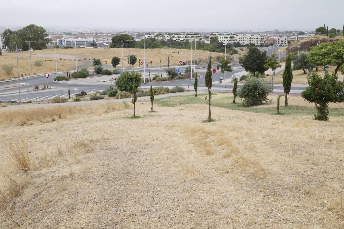 A.J.González Córdoba Terrenos ubicación del futuro parque de Chinales Asomadilla Mirabueno