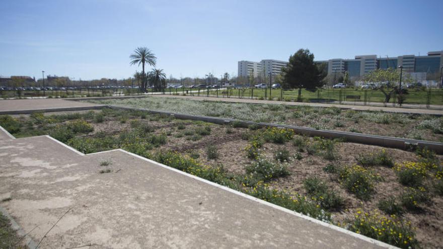 El ayuntamiento pondrá huertos urbanos en todos los parques donde haya espacio