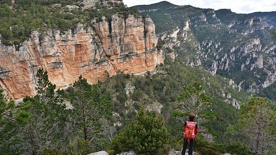 Luces y muchas sombras para un &quot;Yellowstone europeo&quot; en Els Ports